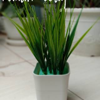 Tanaman Artificial Daun Ecaliptus Daun Ecaliptus Tanaman Artificial Daun Ecaliptus Daun Ecaliptus