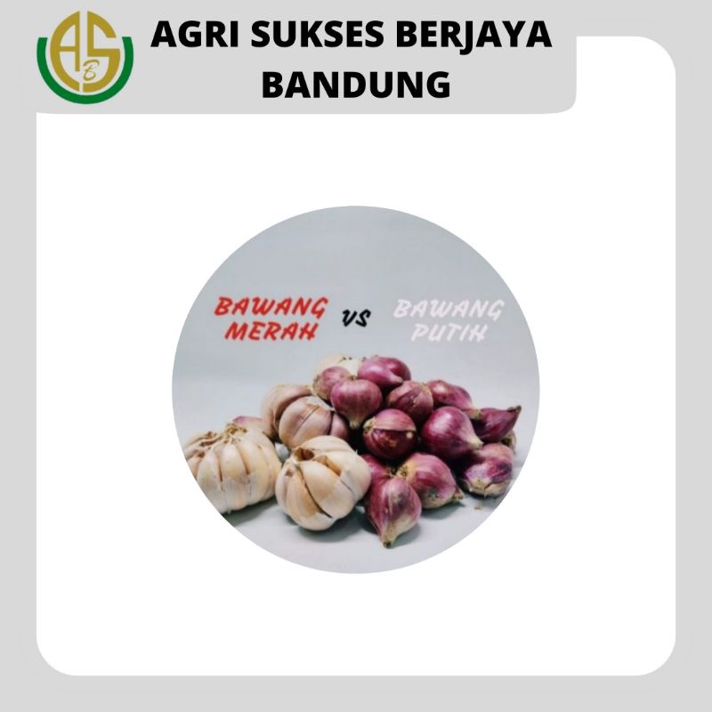 

PAKETAN CAMPUR BAWANG MERAH BAWANG PUTIH