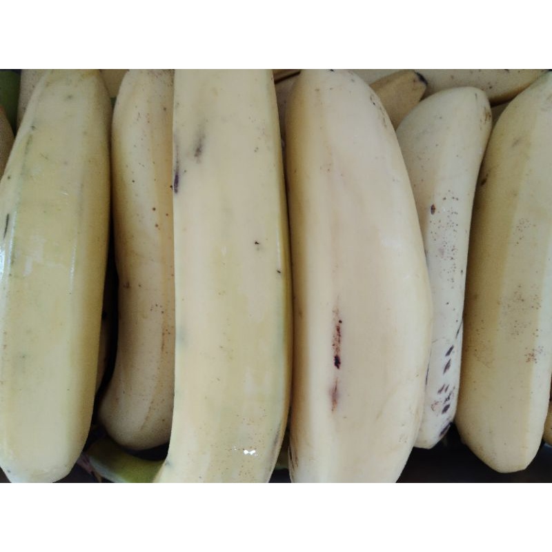 

pisang cavendish 1kg