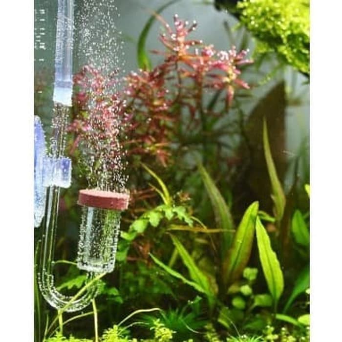 Diffuser CO2 NEO size M ukuran Sedang untuk Aquarium Aquascape