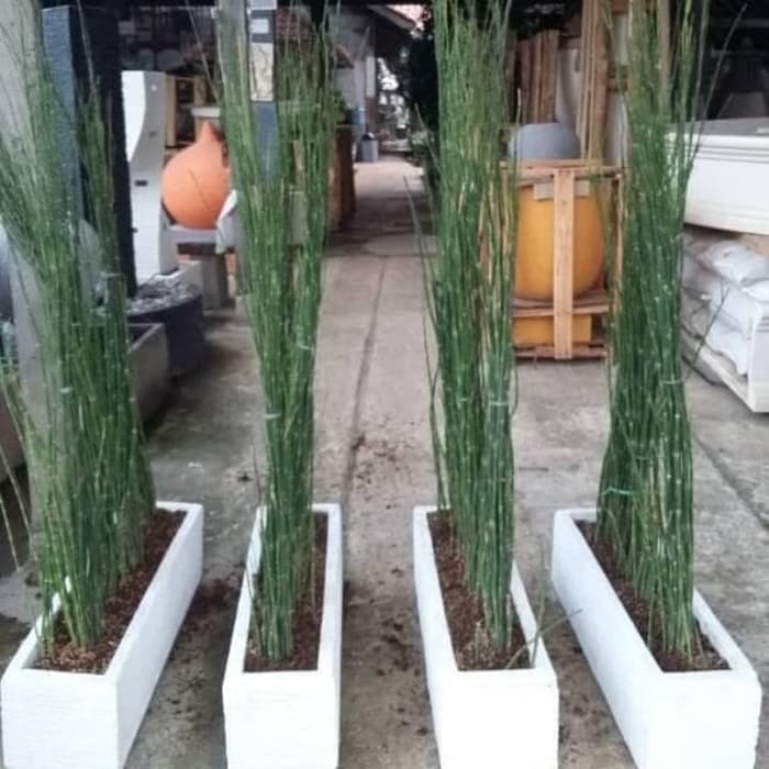 Pot Kotak Panjang Dan Bambu Ruas Terazzo