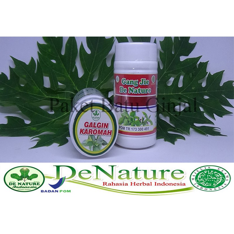 Gang Jie dan Galgin Obat Batu Ginjal Herbal De Nature