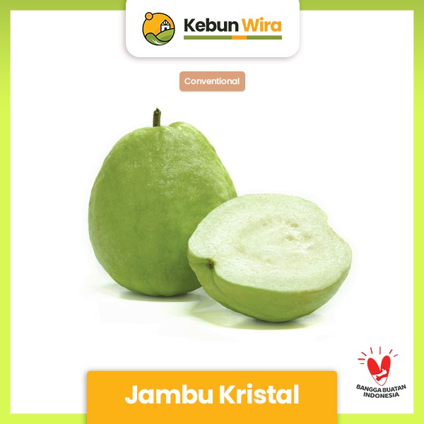 

Jambu Kristal Conventional 500 gram