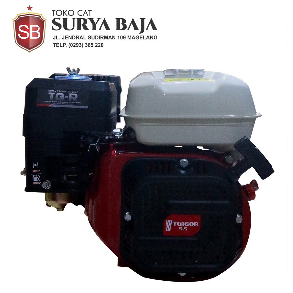 Engine Tiger TE 160 R