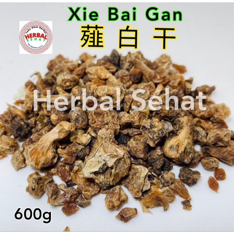 

600 gram - Xie Bai Gan 薤白 叩白干 Kou Bai Gan - Allii Macrostemi