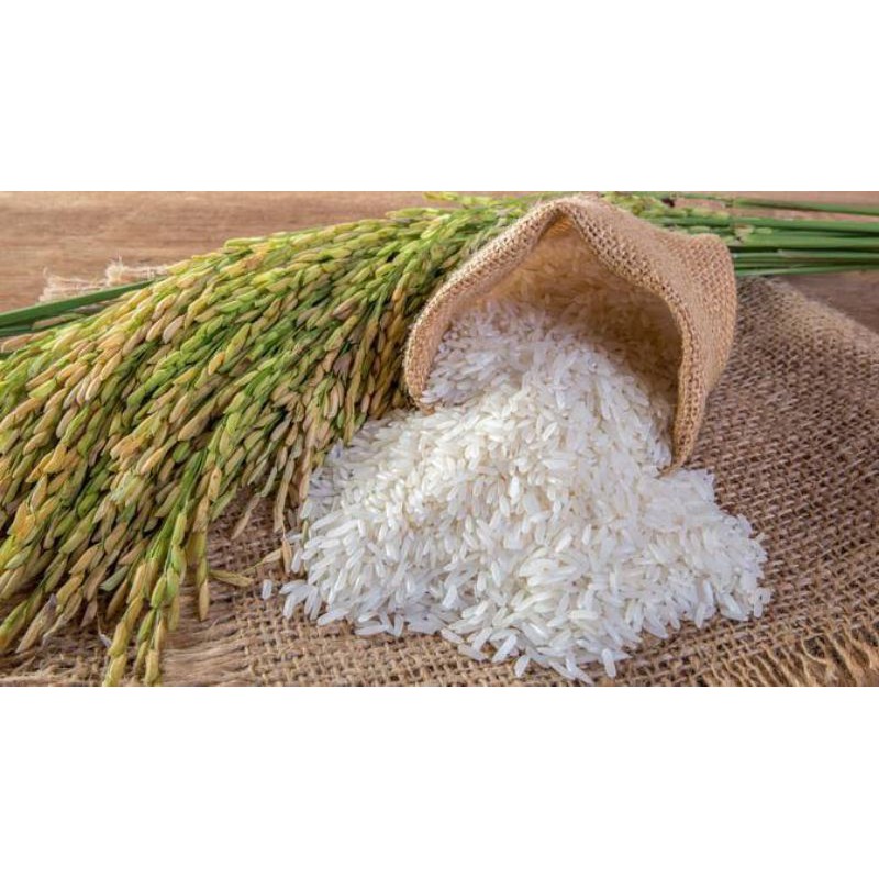 

Beras Putih Pulen 1kg