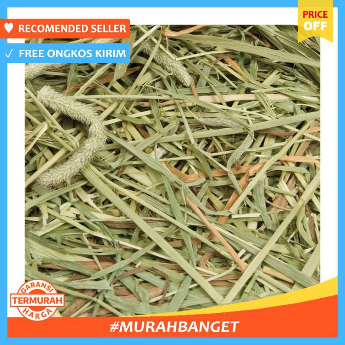 Makanan Hewan Makanan Kelinci Turtle Marmut Timothy Hay Rumput