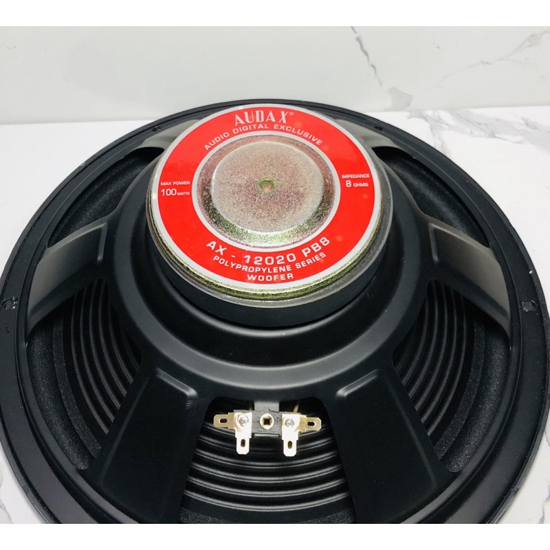 Audax 12 2024 inch woofer