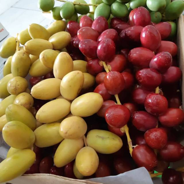 

(NO COD) JUNI JULI 23 KURMA MUDA MERAH KUNING HIJAU 100GR MEDAN / KURMA MUDA POSITIF HAMIL