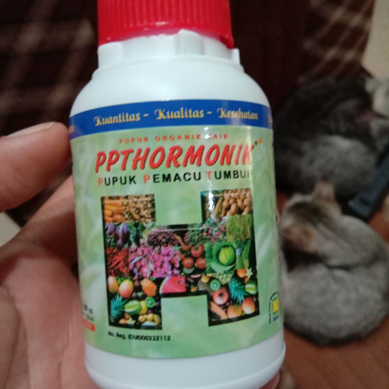 PPTHORMONIK/Pupuk PGPR