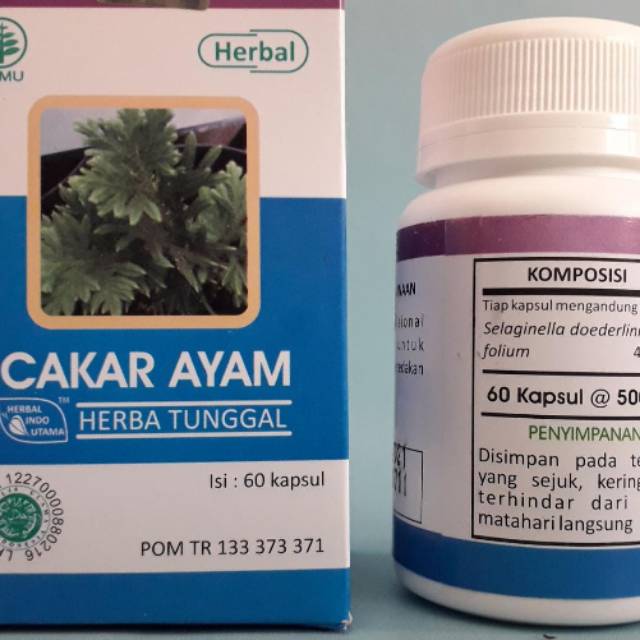 

CAKAR AYAM HERBAL INDO UTAMA