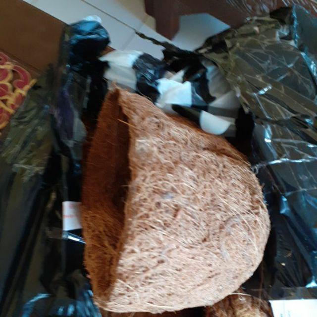 Pot Gantung Pot Serabut Kelapa Sabut Kelapa Pot Anggrek P