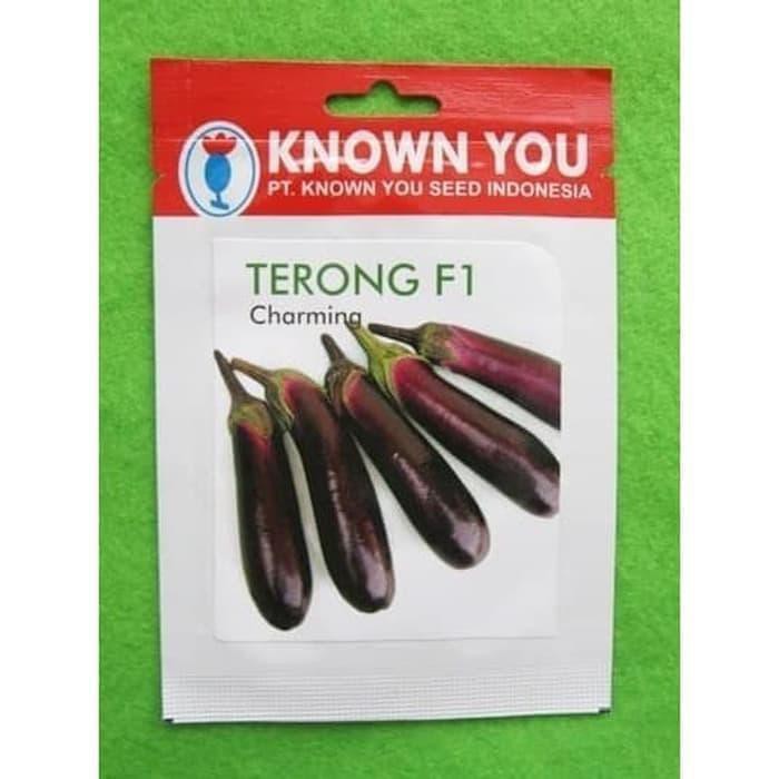 benih bibit terong unggu f1 charming known you seed kys