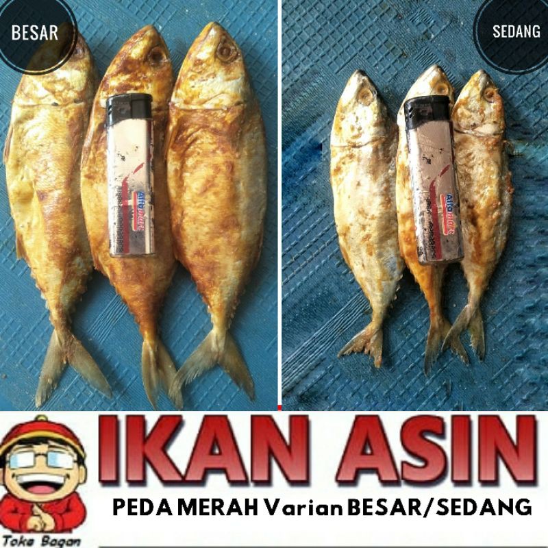 

Ikan Asin PEDA MERAH / KEMBUNG 500 gr cap TOKE BAGAN SIAPI API