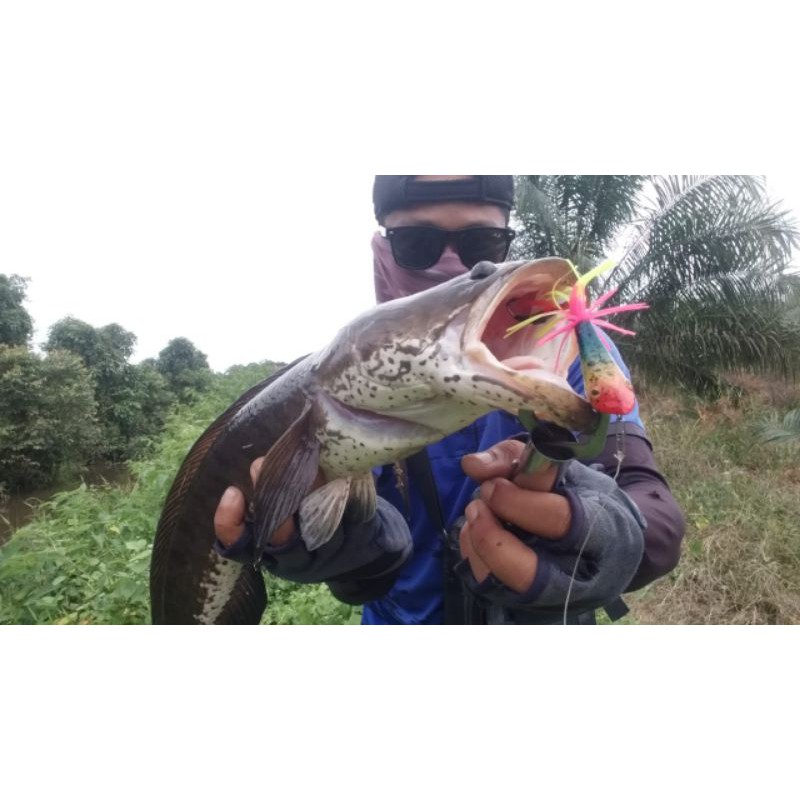 JUMP FROG GEOL (WTD)OF LURE 4,5CM I UMPAN CASTING IKAN GABUS DAN TOMAN