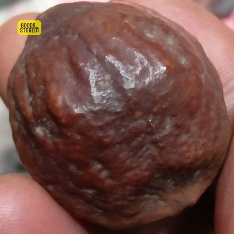 Muncang adu mayit si Dukun garut jalim jawa ori yanti 4G super nyonyo