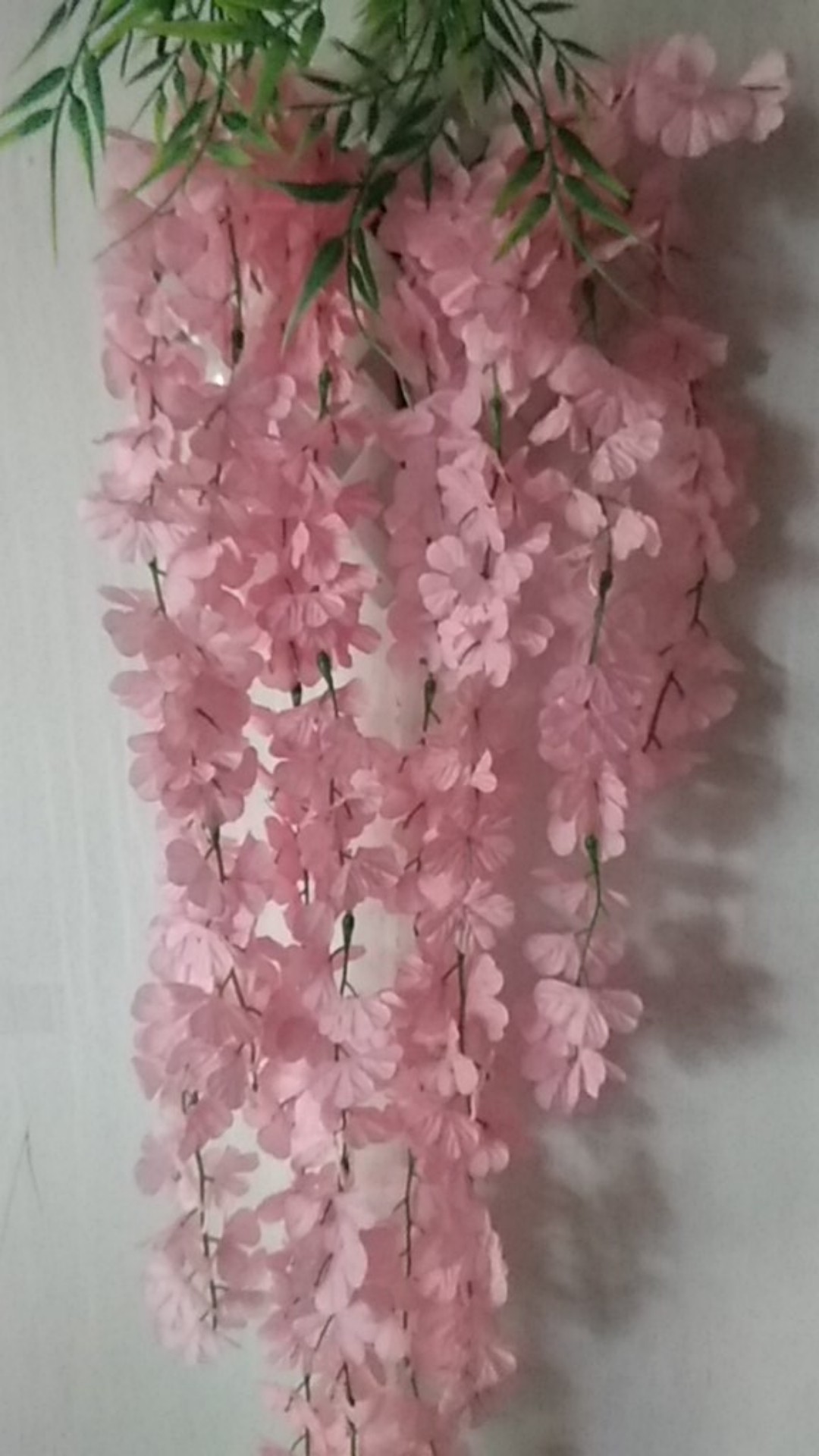 Daun Rambat Asmara Pink Home Dekorasi Shabby