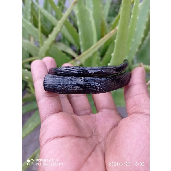 GELANG AKAR BAHAR HITAM BERSERAT