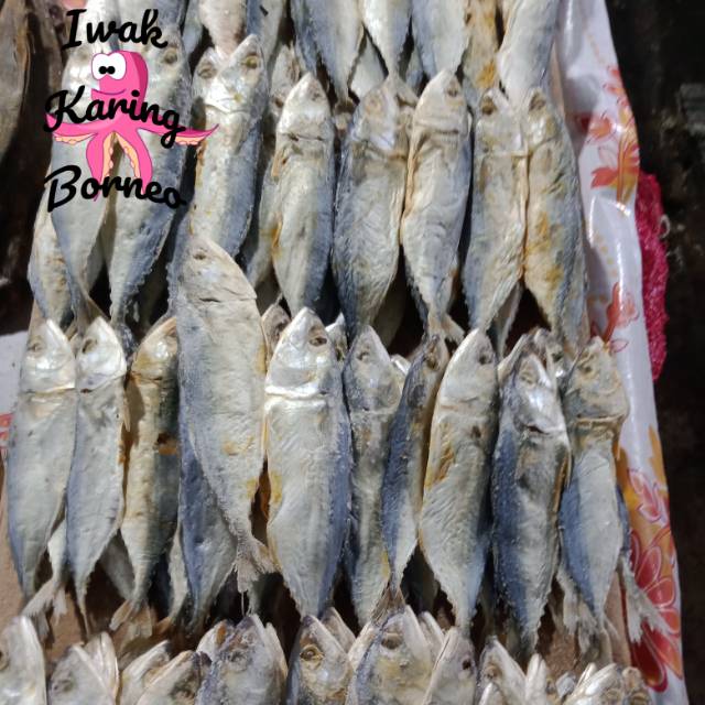 Ikan Asin Peda Putih 500 gram Super