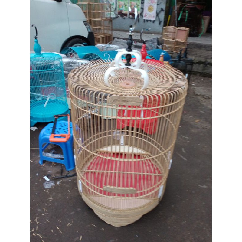 MURAI MENTAH RAfI JAYA No.3