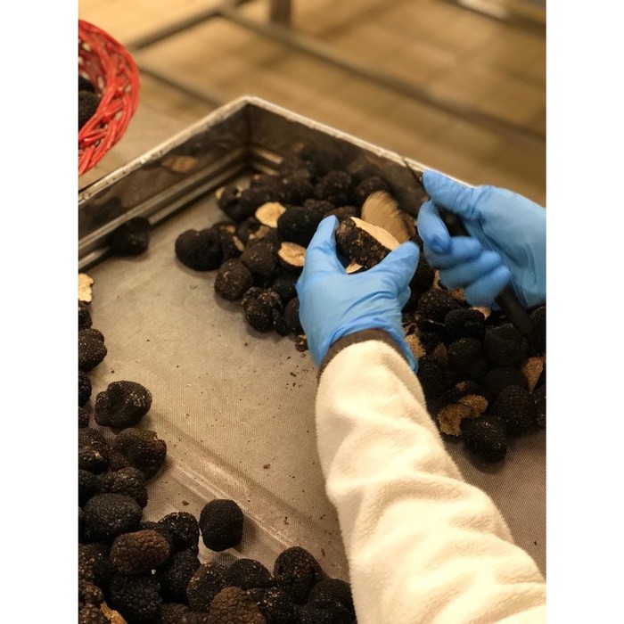 

Kualitas Terbaik - Bosco Truffle Paste Tartufata Black Truffle 500 Gr Urbani