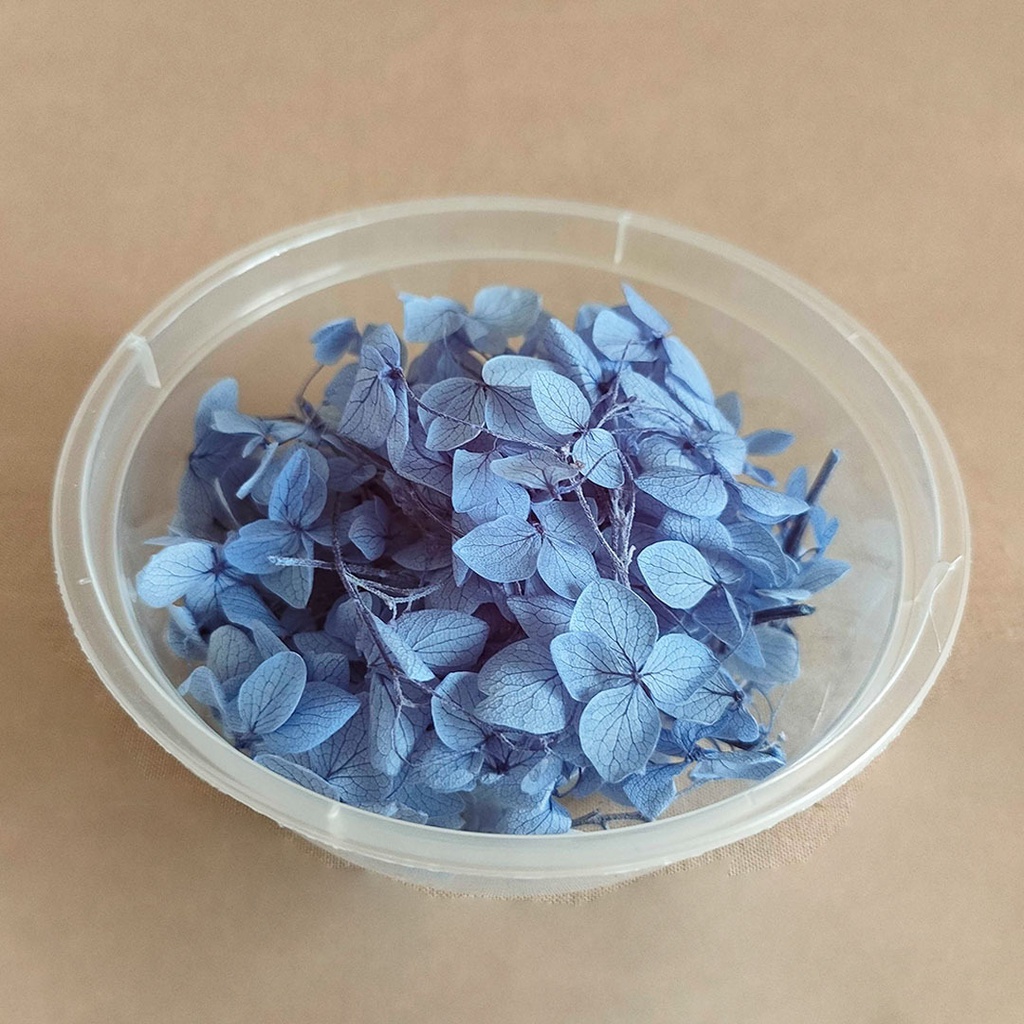 (2gr) Preserved Hydrangea Dried Awetan Bunga Kering Preserved Flower Dried Flower Bunga kering Aesthetic mini dekorasi