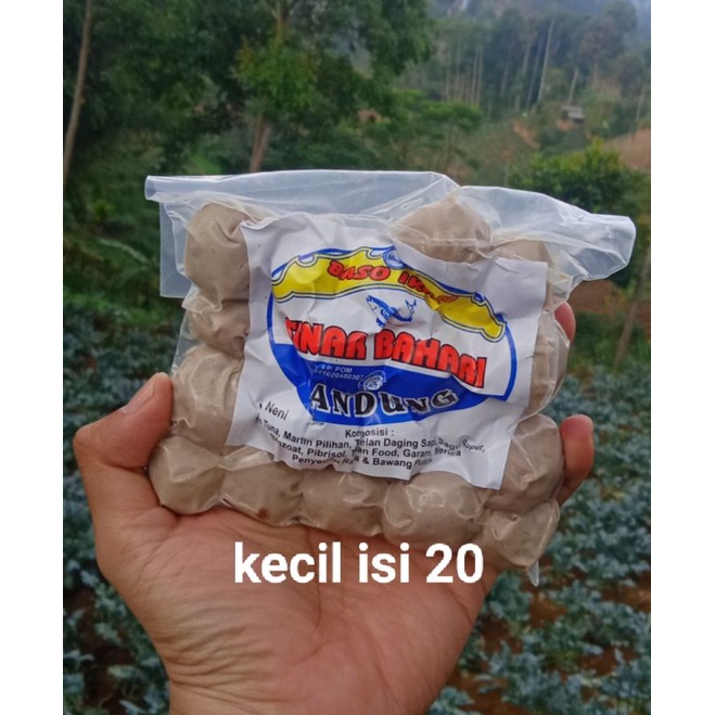 

baso ikan sinar bahari kecil isi 20