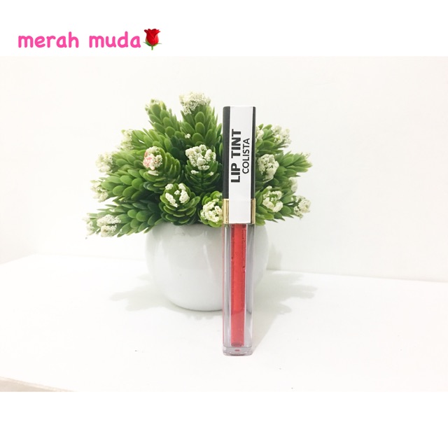 liptint Colista skincare