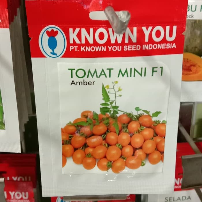 

Promo Benih Tomat Mini / Chery AMBER, Known You Seeds Murah