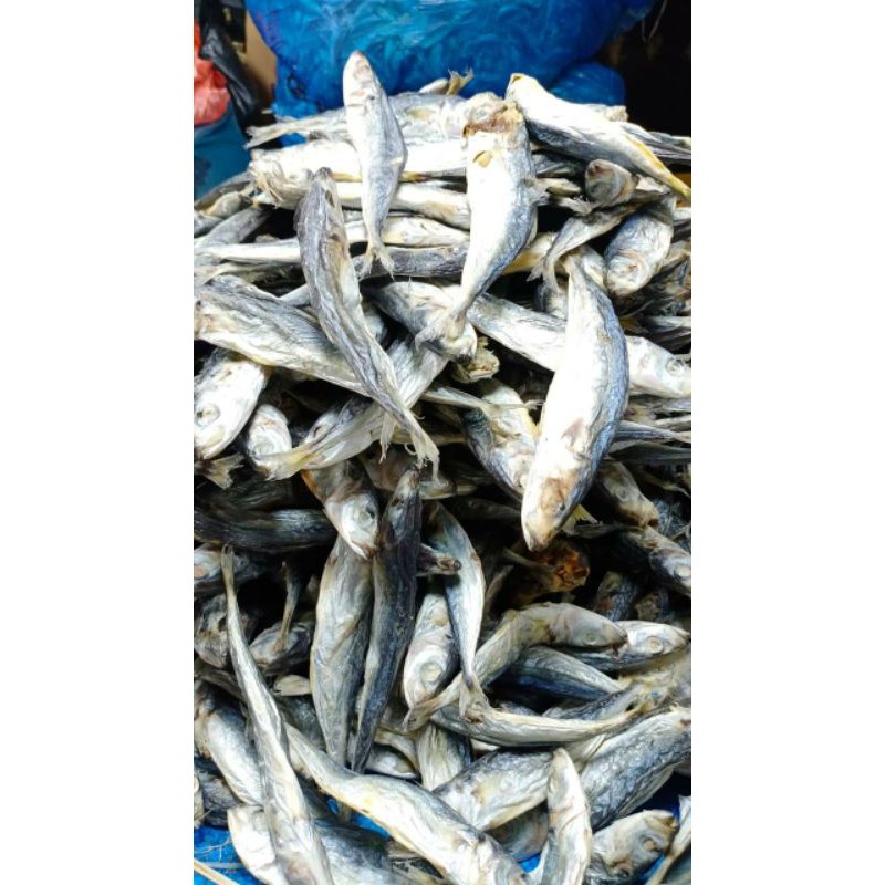 

Ikan Asin Dencis Rebus Asli dari Medan per 1kg