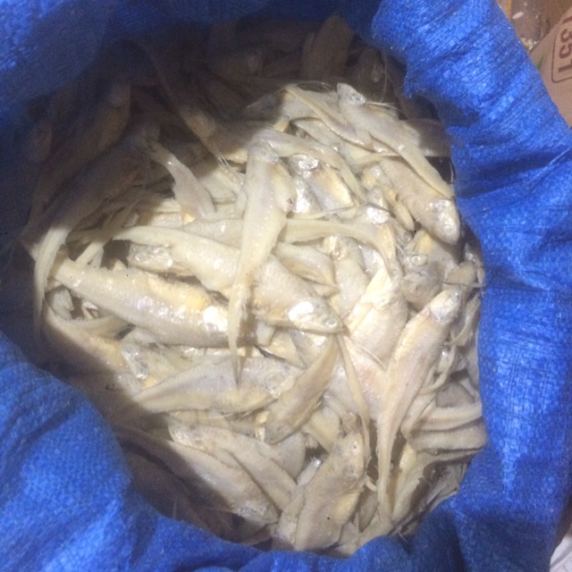 

Ikan asin bulu ayam