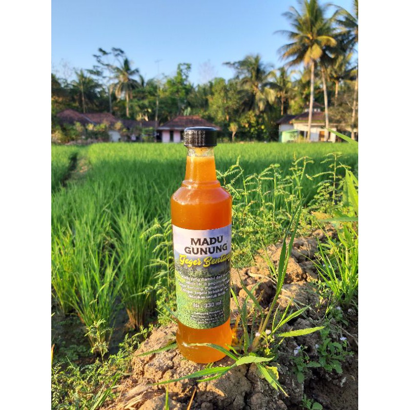 

MADU GUNUNG GEGER BENTANG "ODENG/HUTAN" 330 ML