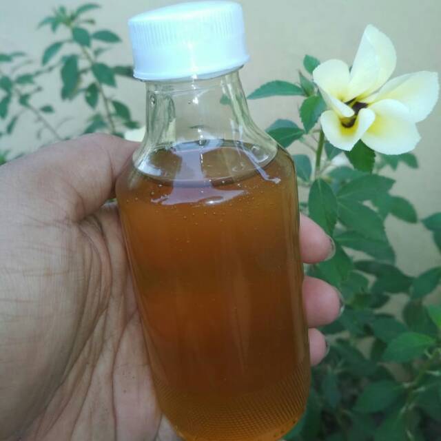 

Madu Hutan Flores