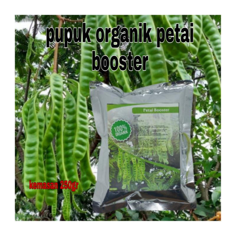 PUPUK ORGANIK PETE BOOSTER PERANGSANG PERTUMBUHAN TANAMAN PETE MEMPERCEPAT TUMBUH BESAR DAN BERBUAH