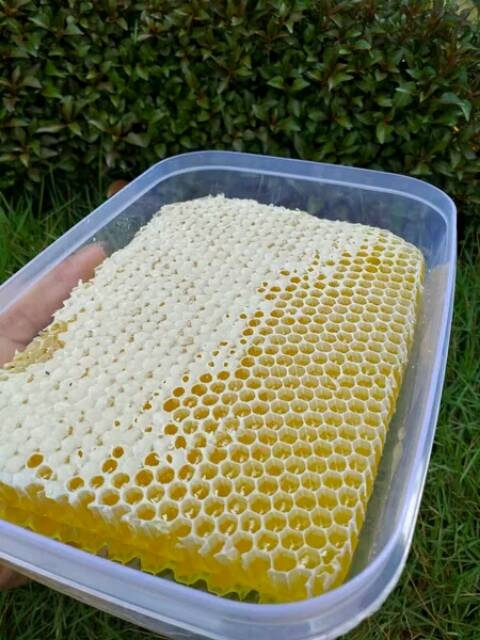 

Sarang Madu Melifera 500g