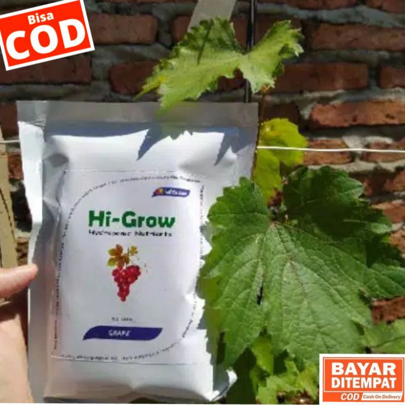 Pupuk Anggur HiGrow Pupuk AB Mix Buah Anggur