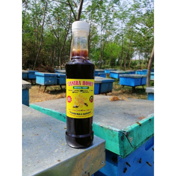 

Madu Hitam Asli Nekhtar Akasia