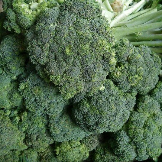 

Brokoli Fresh 250 Gram sd.1 Kg (G.6)