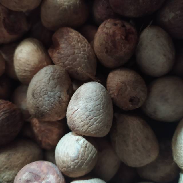 

Kupas Pinang bulat pinang kering 1kg