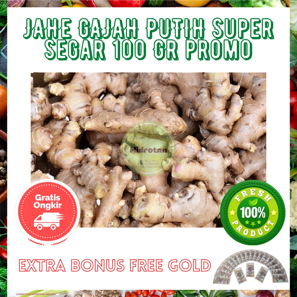 

Jahe Putih Gajah 100 gr - Rempah-rempah Murah | Paket Rempah Segar | Bumbu Memasak Combo Fresh ( Promo Free Emas )