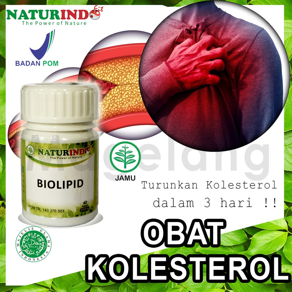 Obat Herbal Penurun Kolesterol Kolestrol Tinggi Trigliserida Leher Kaku isi 40 Kapsul Biolipid Herbal Ampuh-5