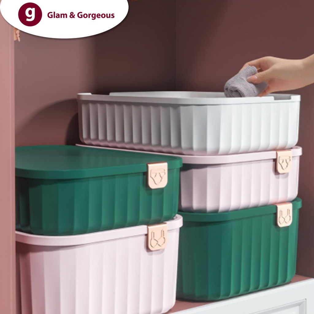 Kotak Penyimpanan Pakaian Serbaguna dengan Tutup Tempat Organizer Storage Box - USB005A