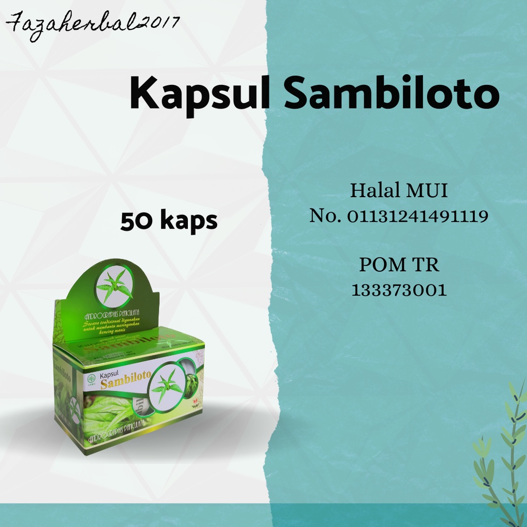 Kapsul Sambiloto Meringankan Kencing Manis