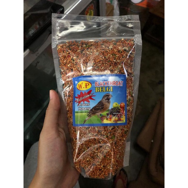 WP Blackthroat pakan atau makanan burung Blackthroat