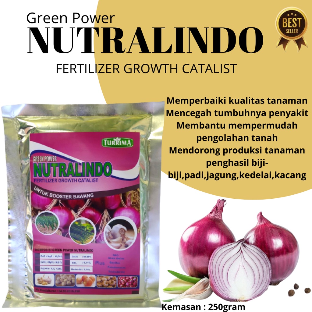 Pupuk Bawang Merah Pembesar, Booster Bawang Merah, Perangsang Pembesar Umbi Bawang Merah, Pupuk Bawa