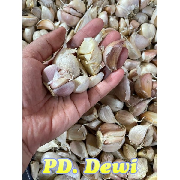 

bawang kating 1 kg
