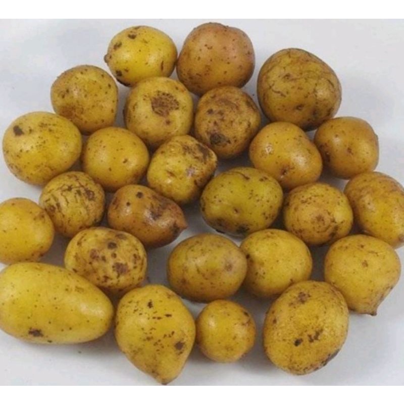 

kentang KeciL/Rendang