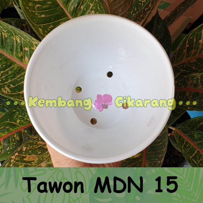 (LUSINAN) MDN 15 (15cm) pot bunga  model tawon (12pcs) Pot Putih MDN