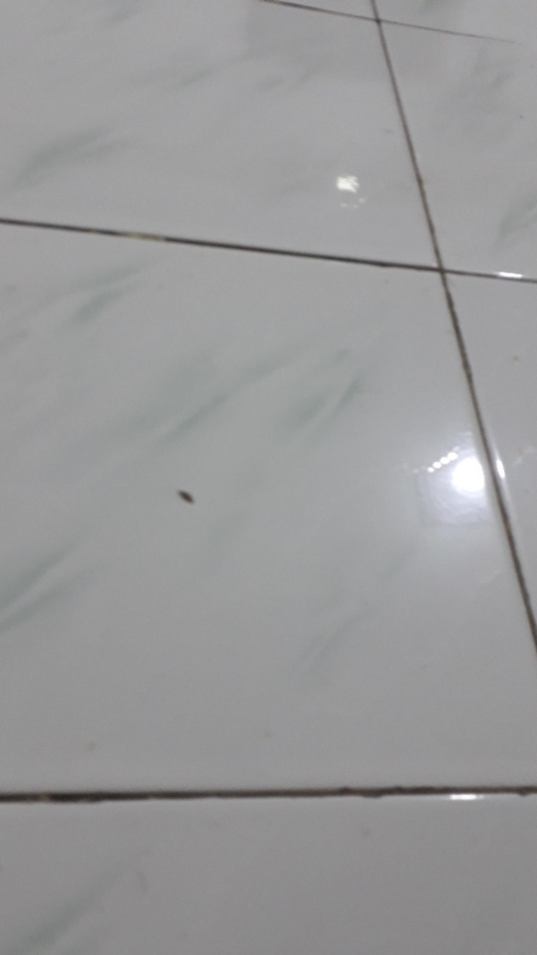 [model Baru] Gamis Maxi Keila/ S-m,l,xl,xxl, Xxxl / Brukat Premium/ Seragam/ Kondangan