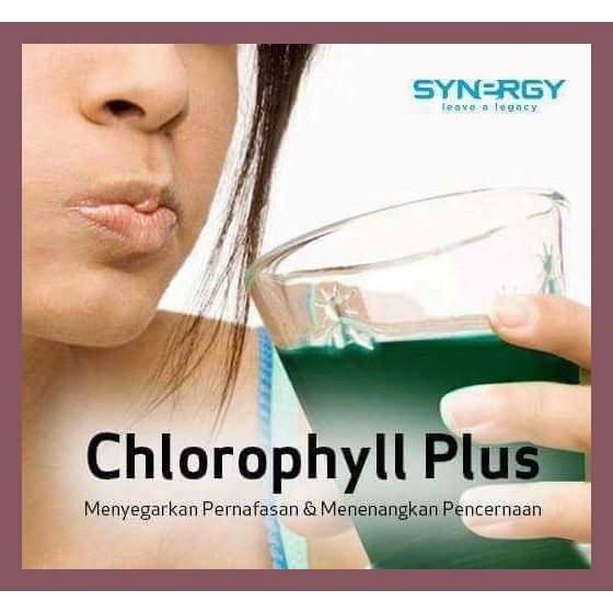 SUPLEMEN/HERBAL MENJAGA KESEHATAN PARU-PARU 100% Herbal